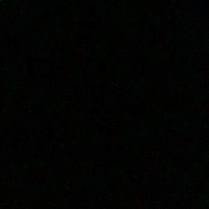 Meet your Posher, Daniela